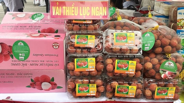 Le litchi de Luc Ngan reçoit une indication géographique
